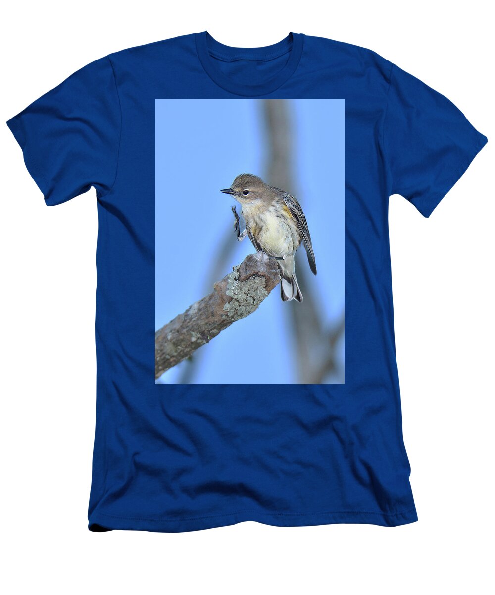 Bird T-Shirt featuring the photograph Yellow-Rumped Warbler Itch by Alan Lenk