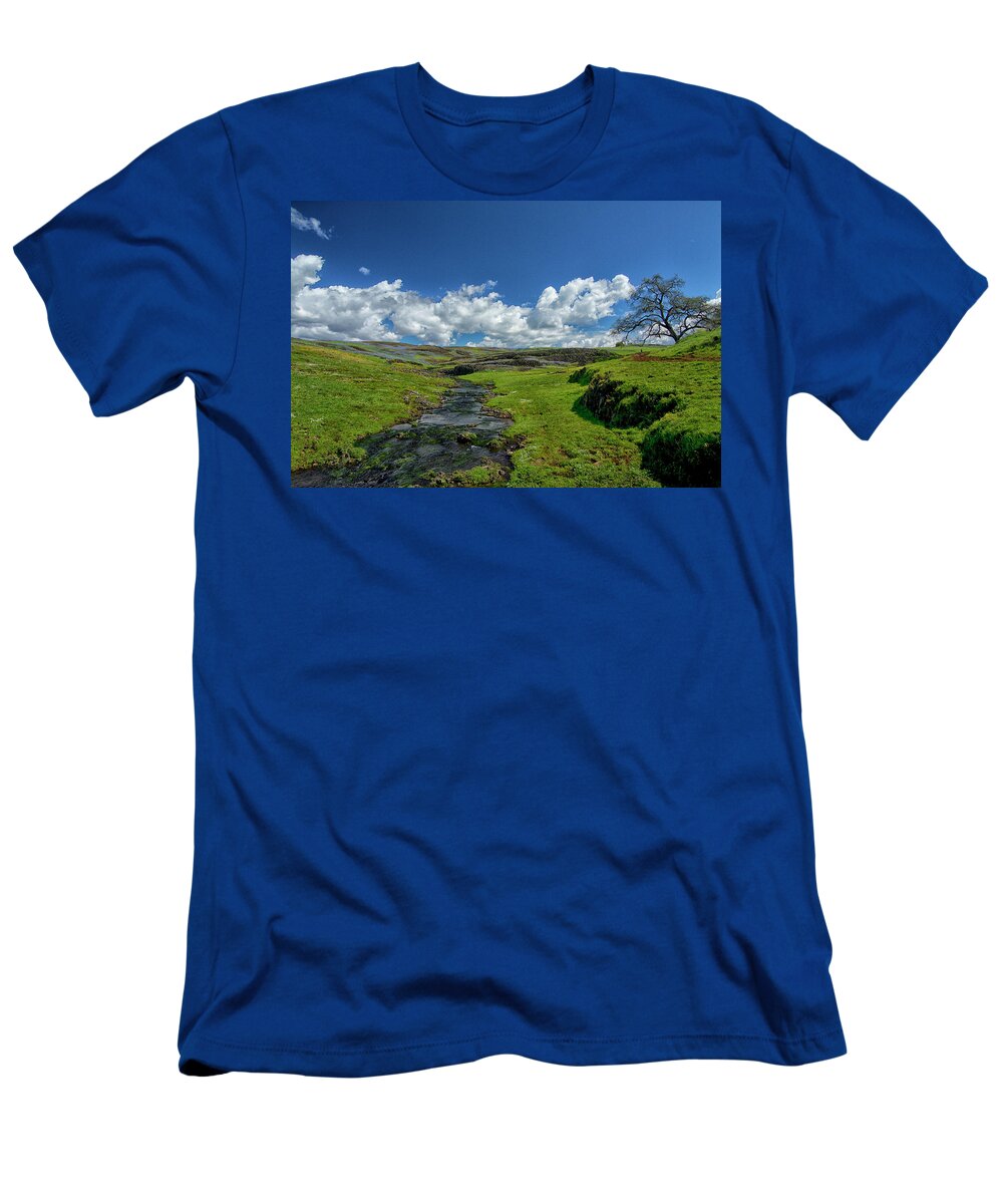 Spring T-Shirt featuring the photograph And Miles To Go #2 by Tom Kelly
