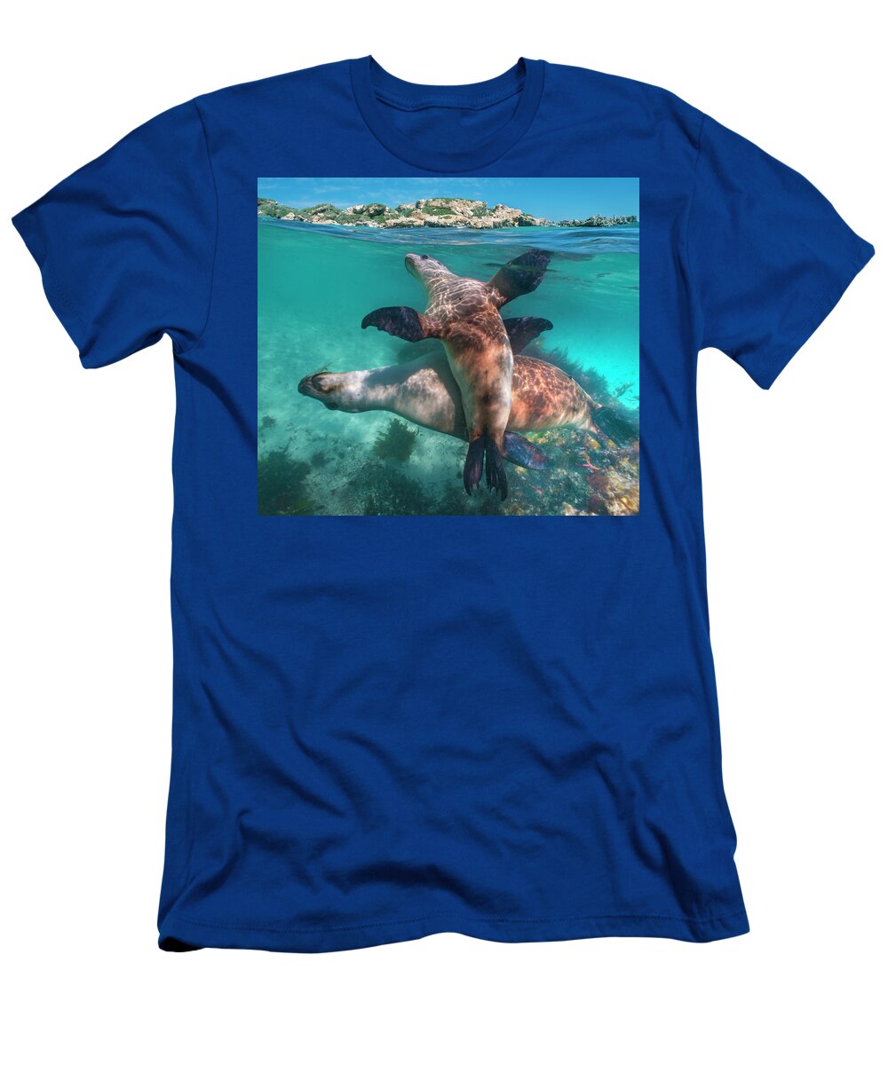 00586401 T-Shirt featuring the photograph Australian Sea Lion Pair, Coral Coast, Australia by Tim Fitzharris