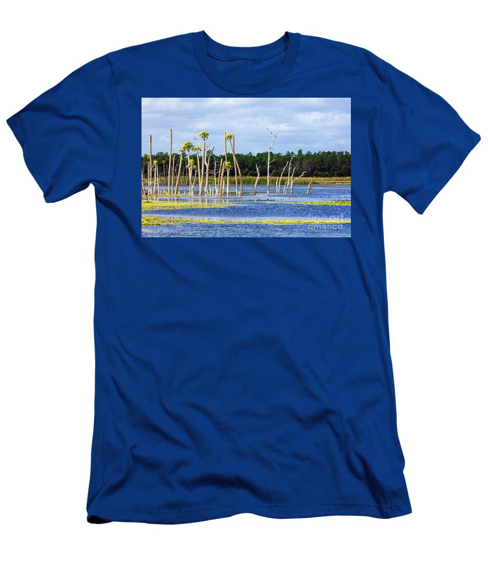 Florida Wetlands T-Shirt featuring the photograph Florida Wetlands 3 by Felix Lai