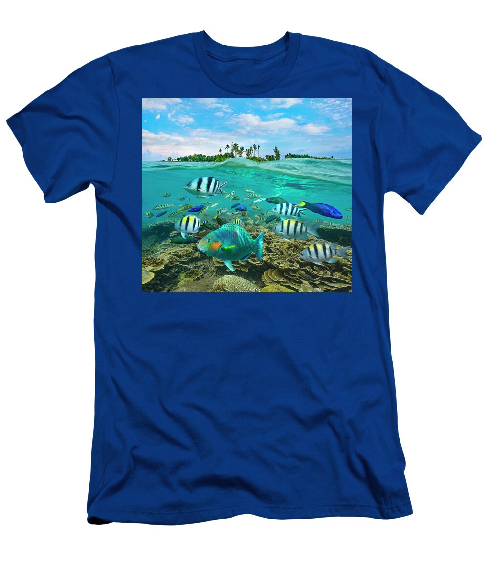 00586444 T-Shirt featuring the photograph Parrotfish, Wrasse, And Sergeant Major Damselfish, Balicasag Island, Philippines by Tim Fitzharris