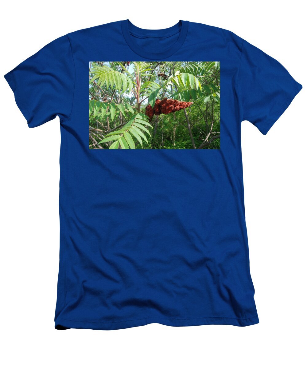 Staghorn Sumac Tree T-Shirt featuring the photograph The Staghorn Sumac Tree by Ee Photography