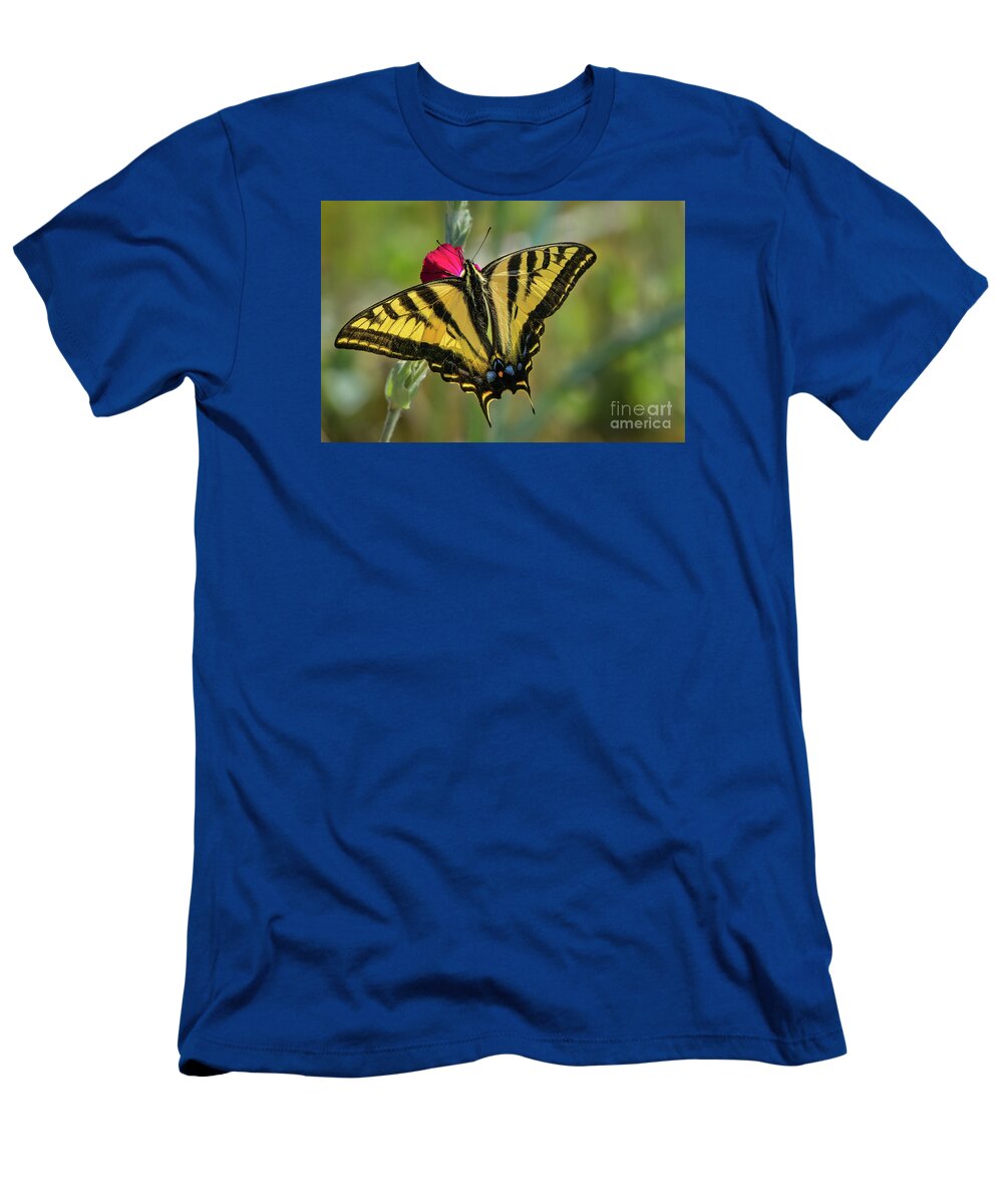 Lepidoptera T-Shirt featuring the photograph Western Tiger Swallowtail #1 #1 by Nancy Gleason