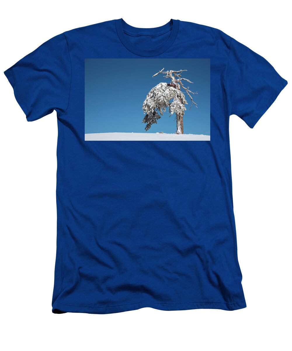 Single Tree T-Shirt featuring the photograph Winter landscape in snowy mountains. frozen snowy lonely fir trees against blue sky. by Michalakis Ppalis