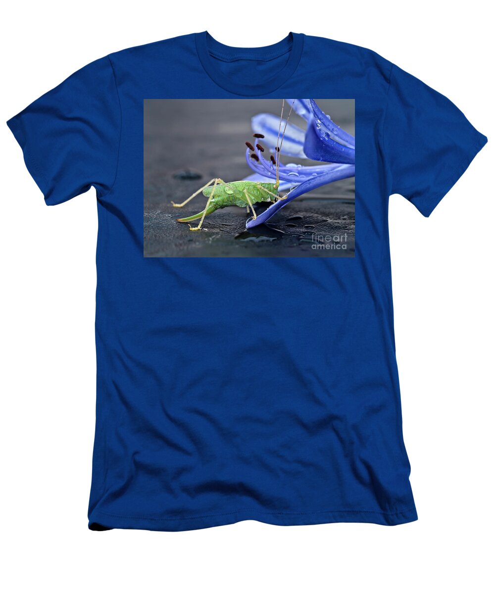 Beauty Beast Cricket Agapanthus Flower Insect Green Drinking Feeding Blue Action Macro Close Up Delightful Nature Beautiful Fantastic Magical Poetic Colorful Vivid Bright Humor Funny Fun Bizarre Thirsty Water Drops Climbing Climber Dew T-Shirt featuring the photograph A BEAUTY AND A BEAST- the climber by Tatiana Bogracheva