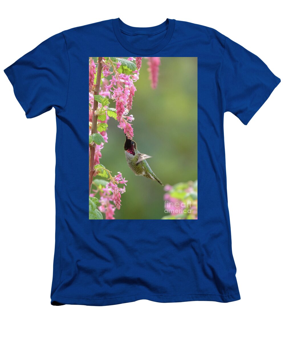 Anna's Hummingbird T-Shirt featuring the photograph Annas Hummingbird in Tower of Red Flowering Currant Blossoms by Nancy Gleason