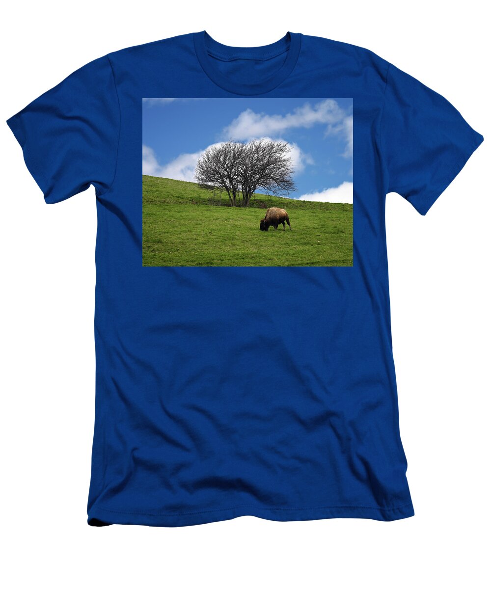 Bison T-Shirt featuring the photograph Bison Tree by Steven Nelson