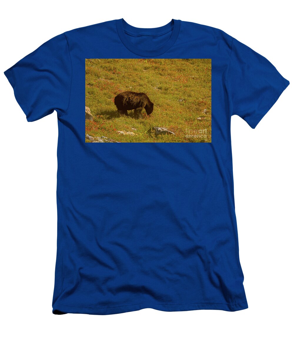 Olympic National Park T-Shirt featuring the photograph Black Bear in Huckleberry Meadow by Nancy Gleason
