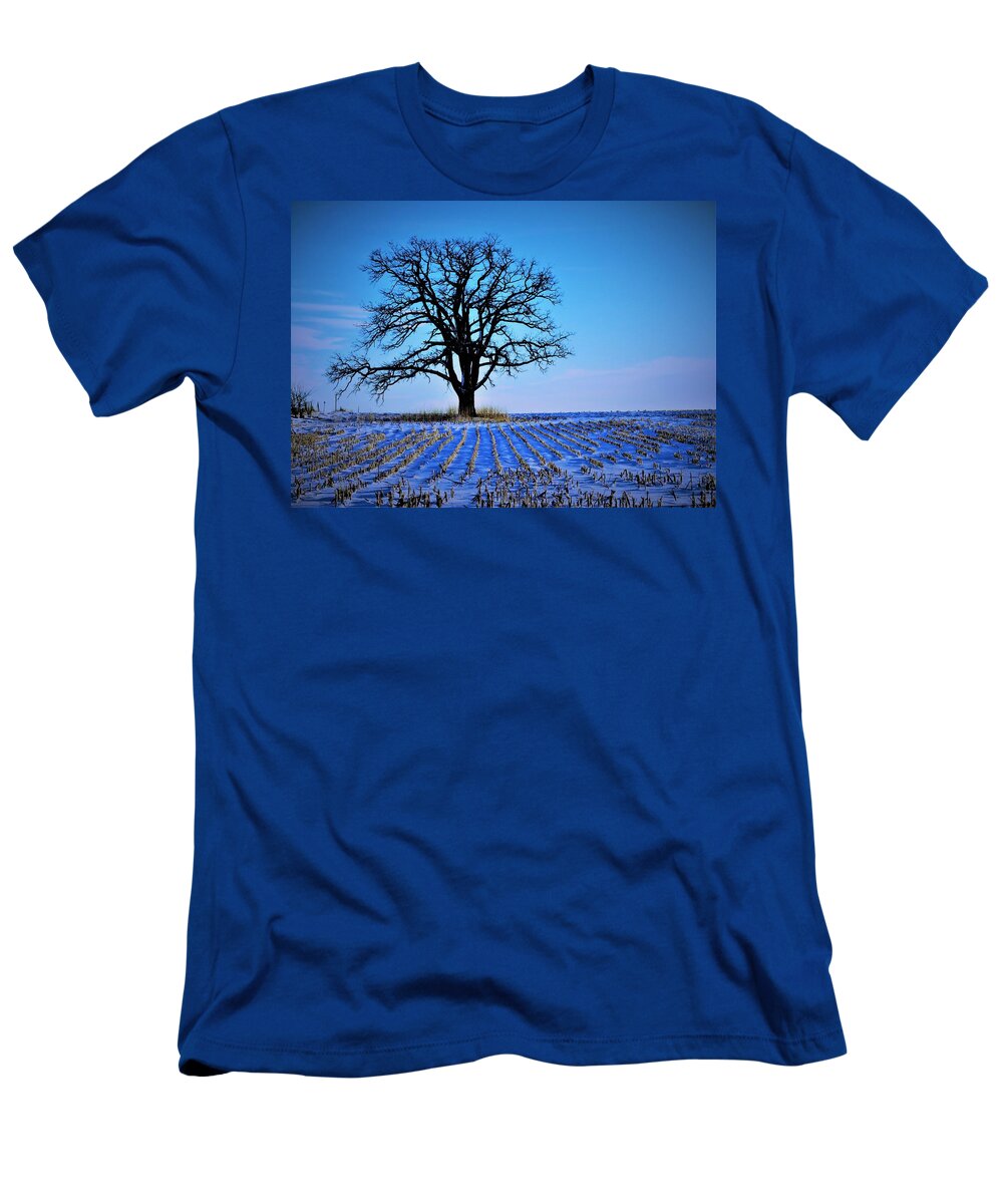 Trees T-Shirt featuring the photograph Cold November Morning by Lori Frisch