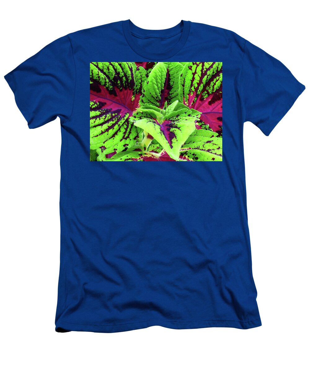 Plant T-Shirt featuring the photograph Coleus Up Close And Personal by Leslie Montgomery