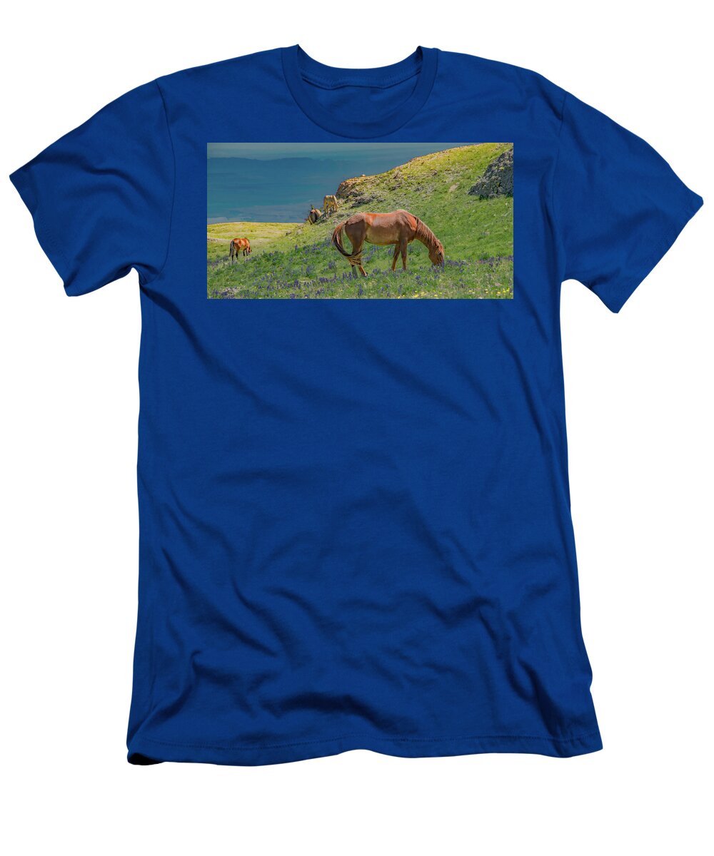 Pryor Mountain T-Shirt featuring the photograph Contentment on the Mountain by Marcy Wielfaert