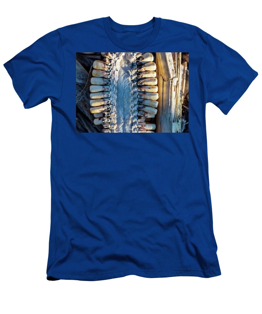 Corn T-Shirt featuring the photograph Corn Close Up by Amelia Pearn