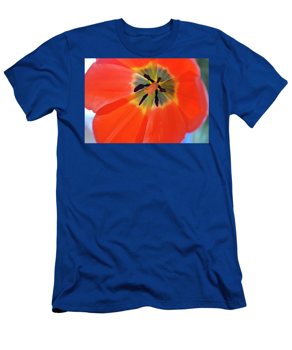 Tulip T-Shirt featuring the photograph Dutch Umbrella by Michele Myers