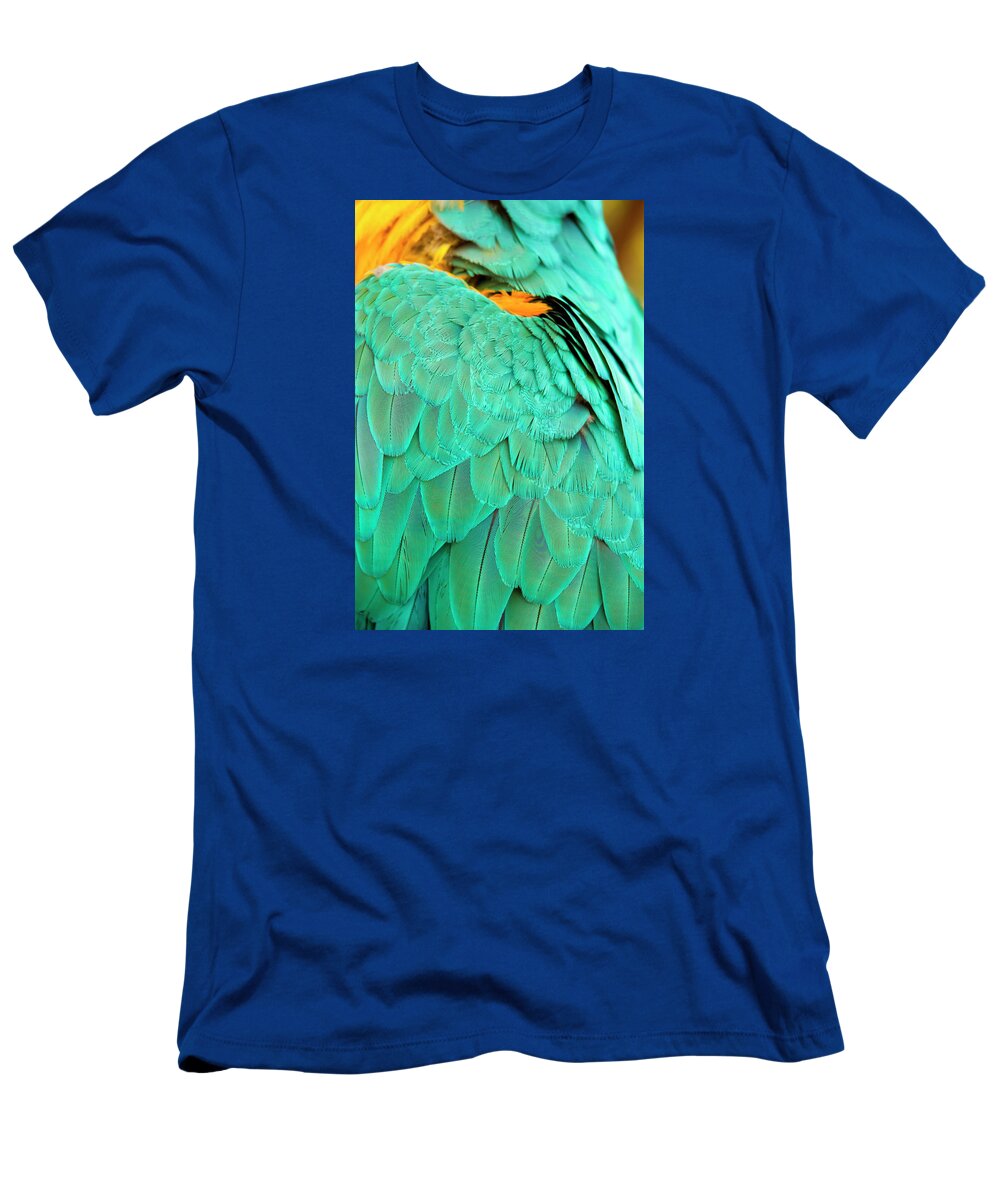 Feather T-Shirt featuring the photograph Feathers by Anna Kluba