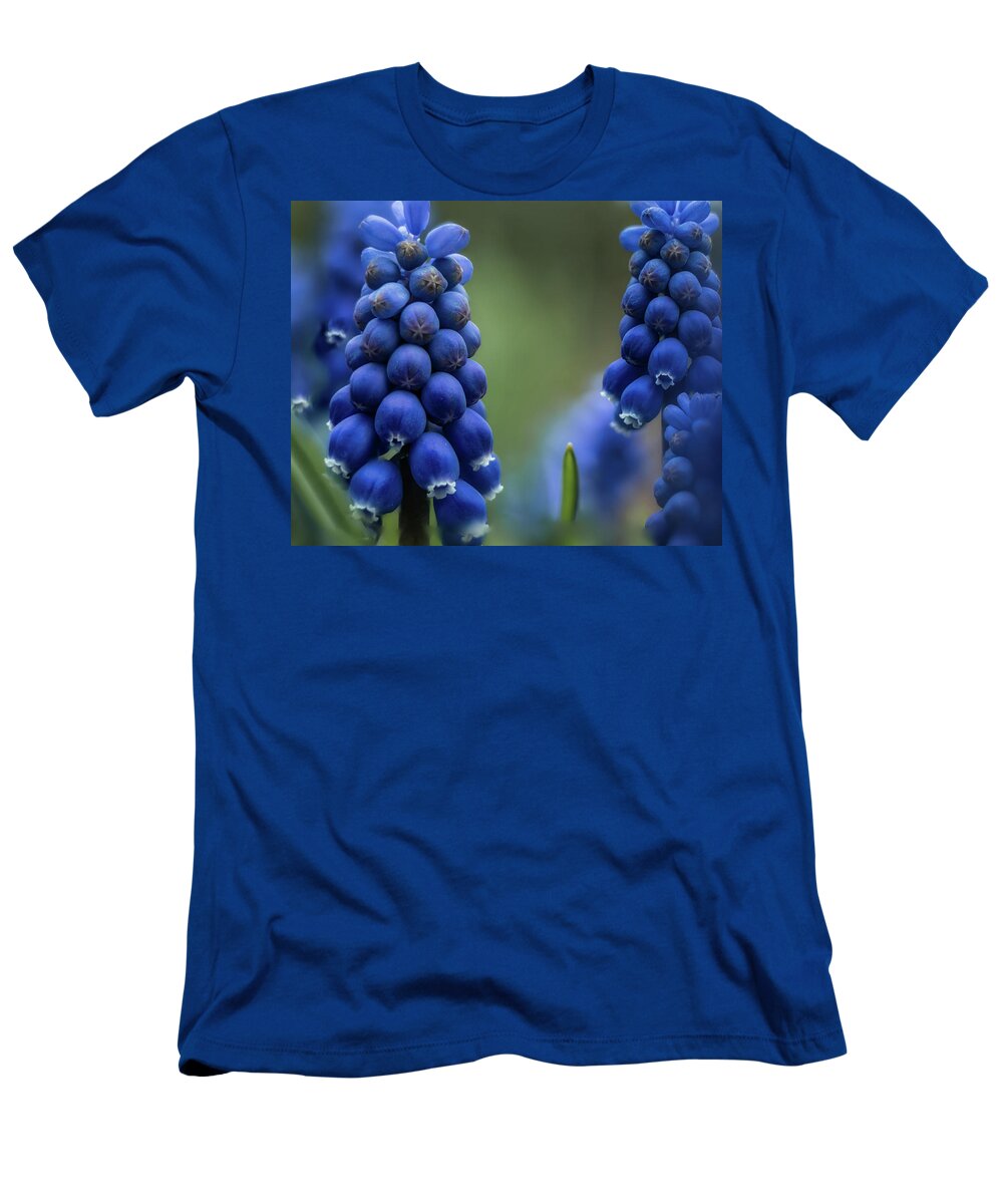 Flower T-Shirt featuring the photograph Grape Hyacinth by Dan Eskelson
