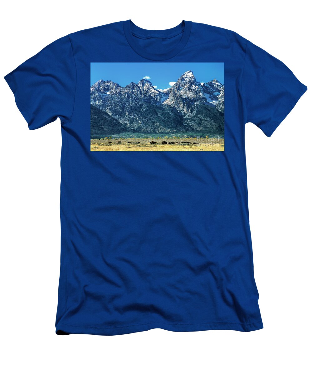 Dave Welling T-Shirt featuring the photograph Herd Of Bison Teton Range Grand Tetons National Park Wyoming by Dave Welling
