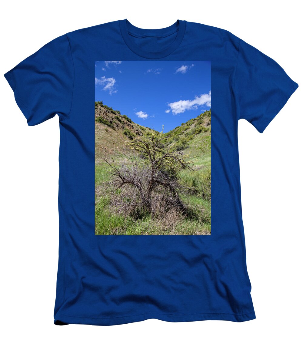 Idaho T-Shirt featuring the photograph Idaho Rocky Scenery by Dart Humeston