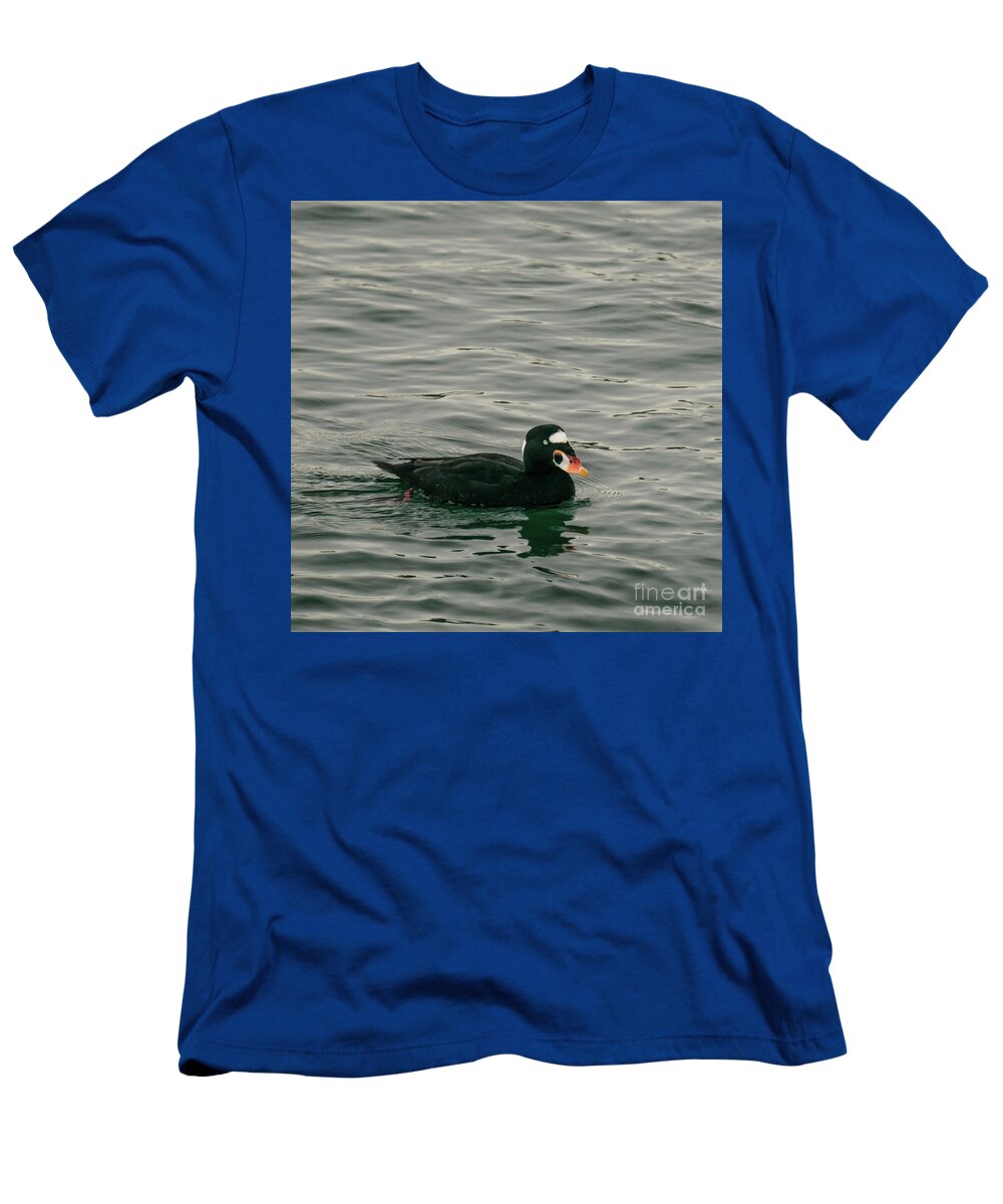 Melanitta Perspicillata T-Shirt featuring the photograph Male Surf Scoter on Puget Sound in Winter by Nancy Gleason