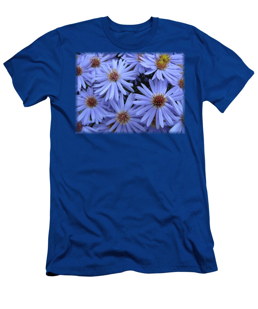 Csillagőszirózsa T-Shirt featuring the photograph Michaelmas daisies by Gar Di