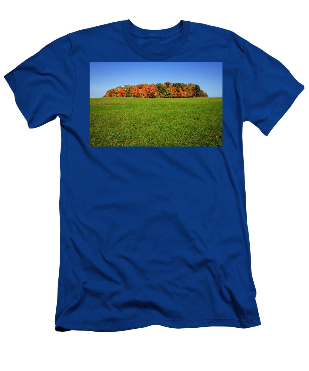 Michigan T-Shirt featuring the photograph Michigan Woodlot in Autumn by Mary Lee Dereske