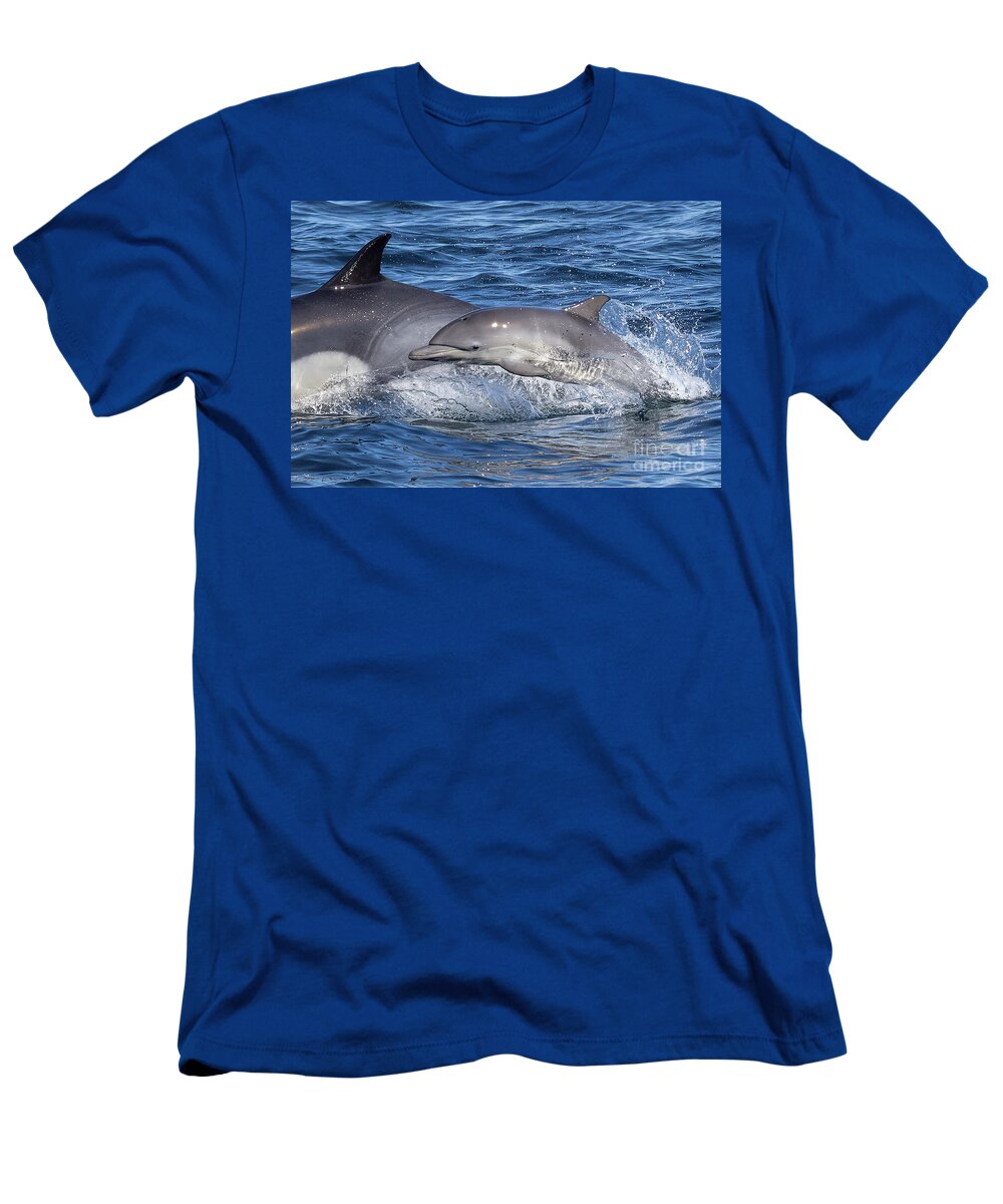 Danawharf T-Shirt featuring the photograph Mom and Baby Dolphin by Loriannah Hespe