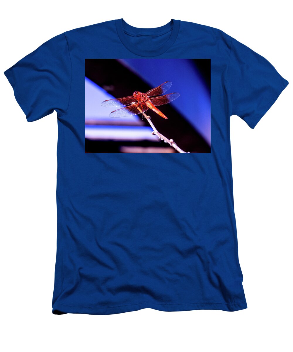 Wings T-Shirt featuring the photograph Orange Dragonfly by David Desautel