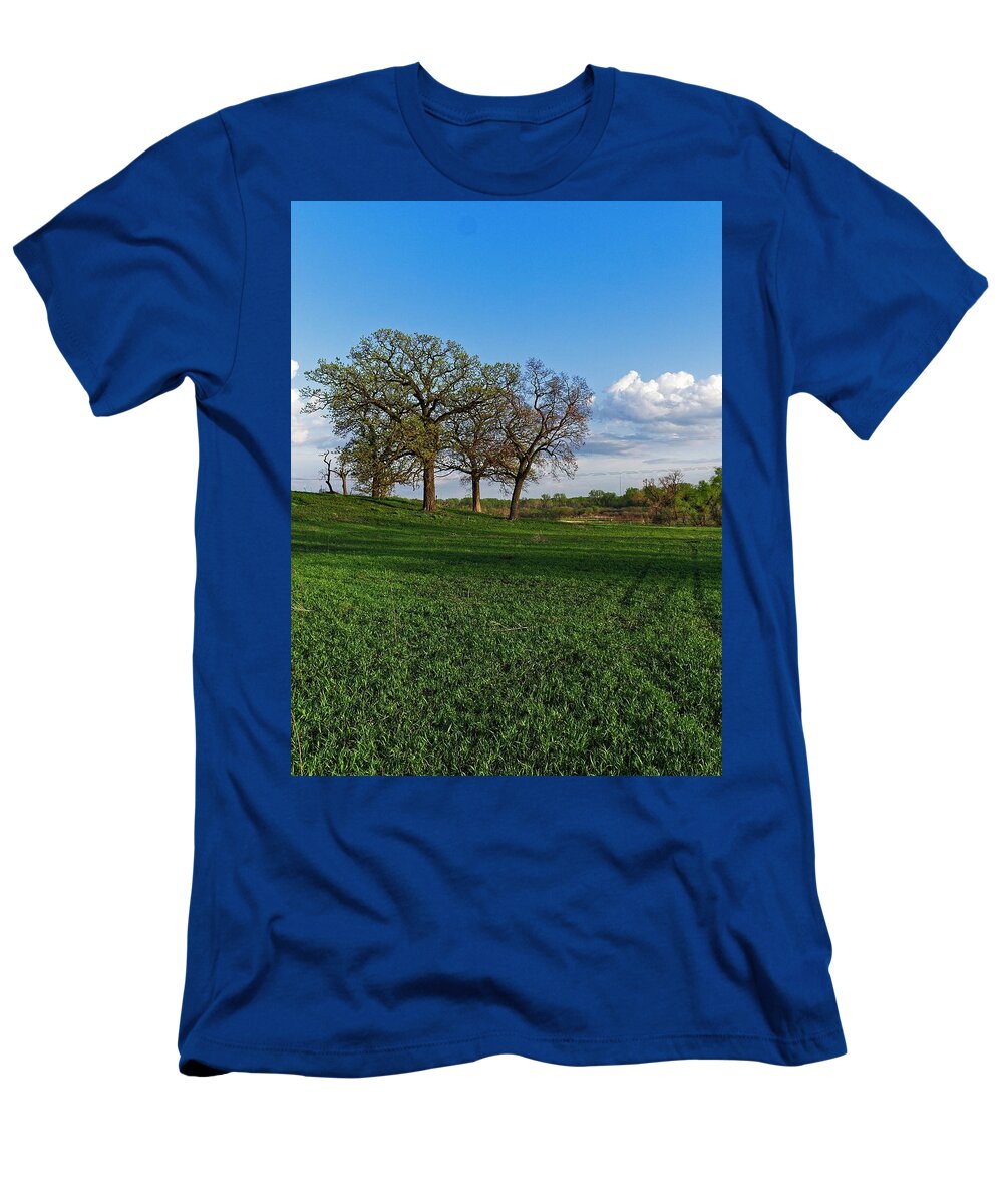 Middleton T-Shirt featuring the photograph Pheasant Branch Conservancy 2, Middleton, WI by Steven Ralser