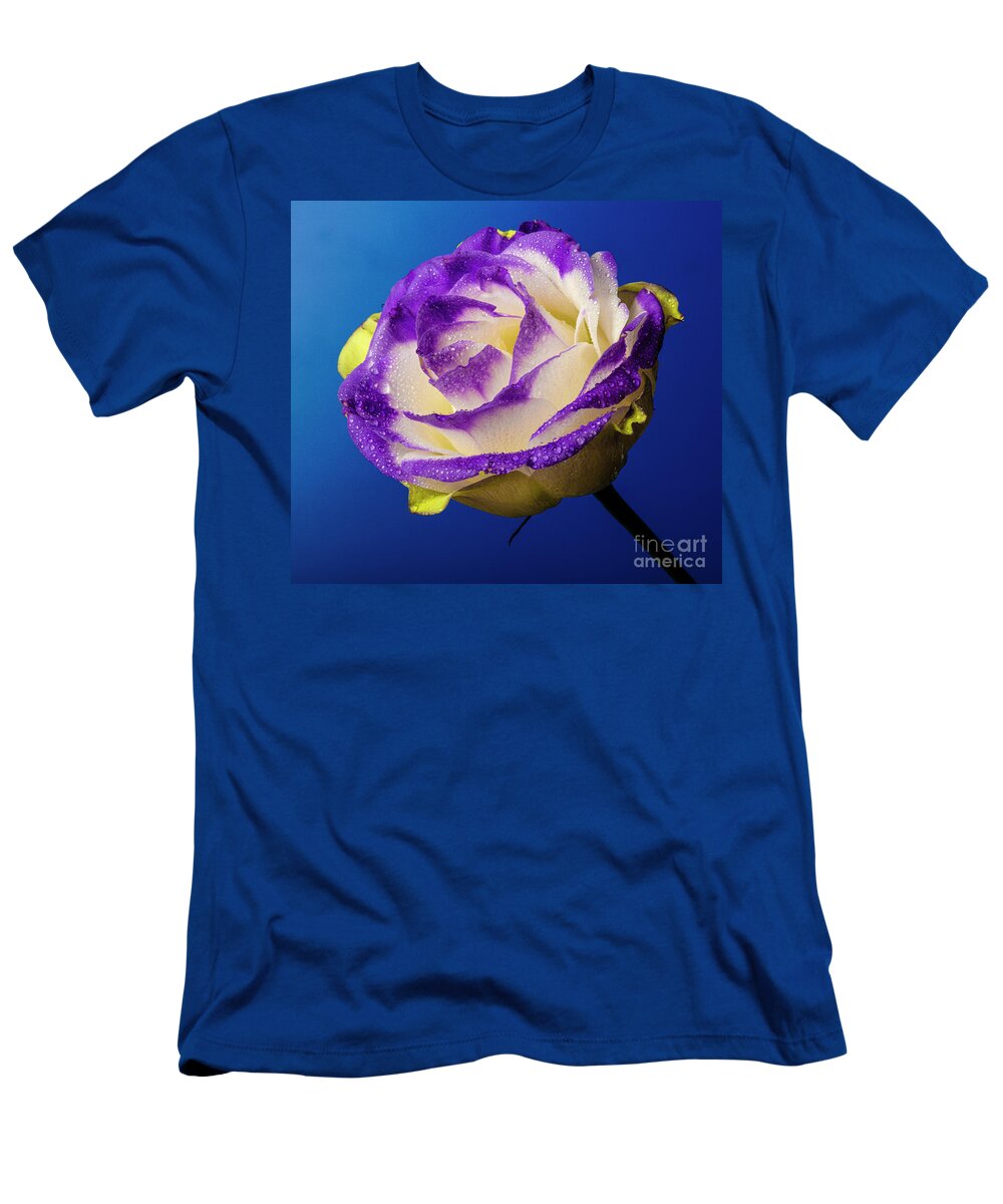 Carnation T-Shirt featuring the photograph Progeny by Doug Norkum