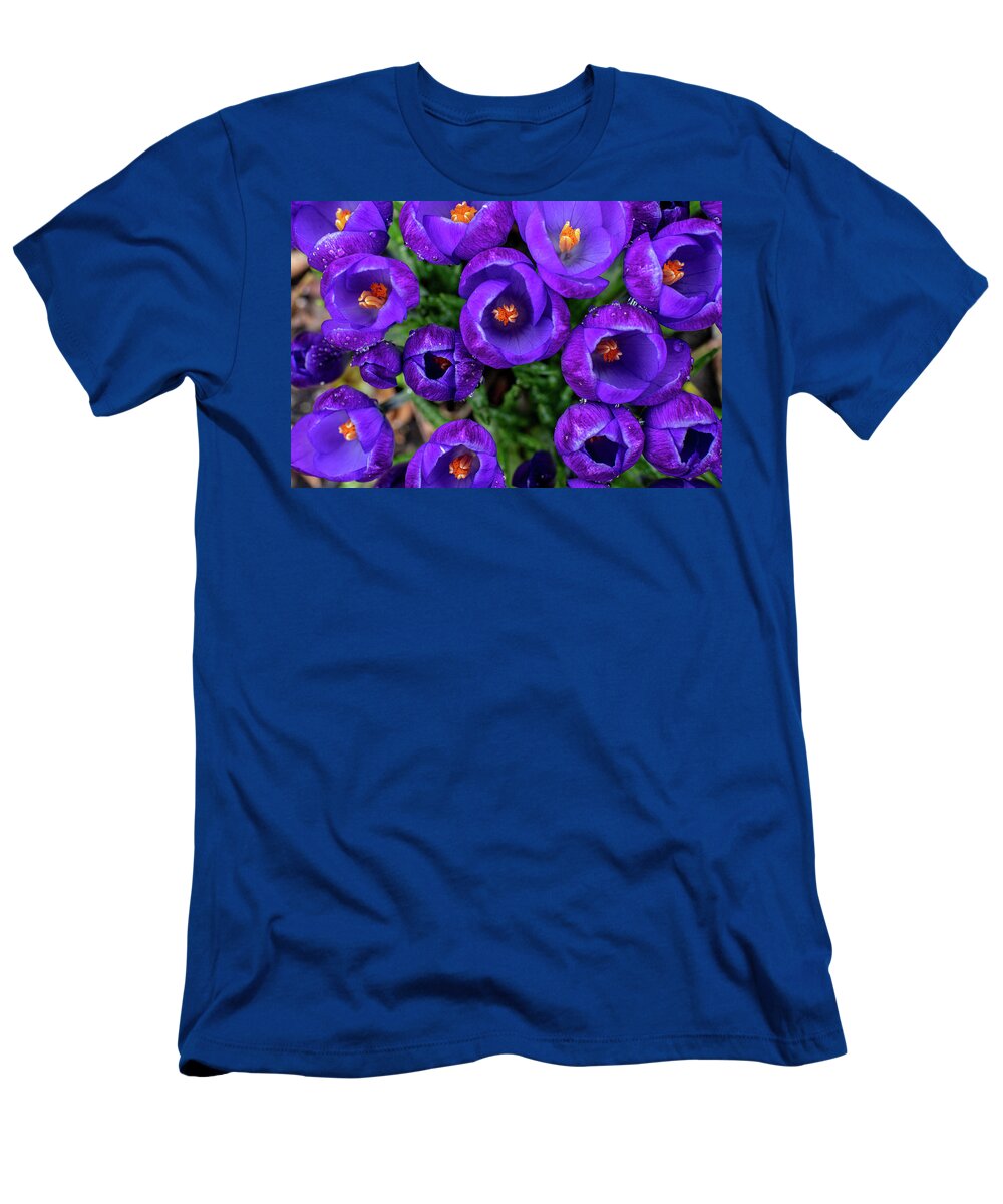 Spring T-Shirt featuring the photograph Purple Rain by Kevin Suttlehan