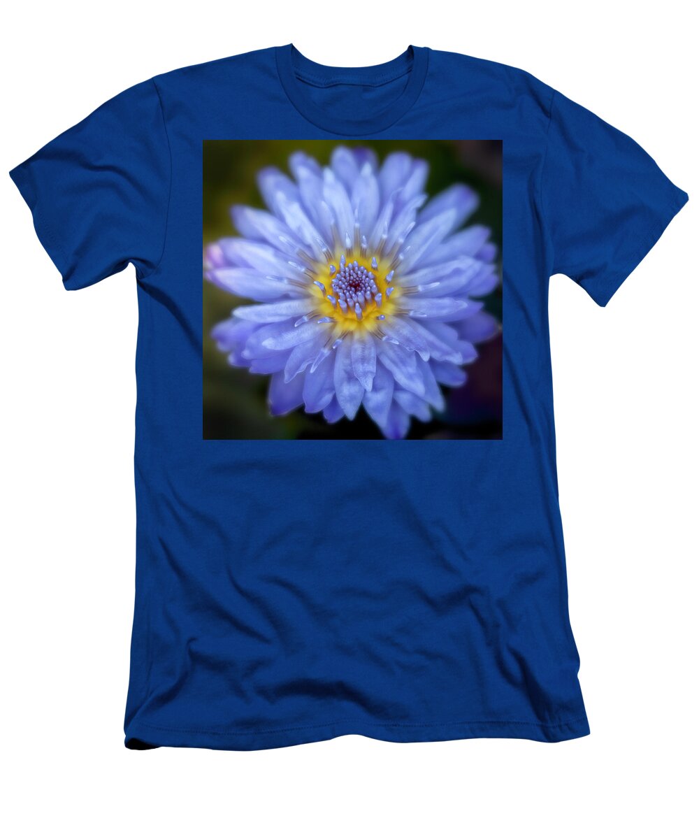 Gardens T-Shirt featuring the photograph Purple Water Lily Square by Teresa Wilson