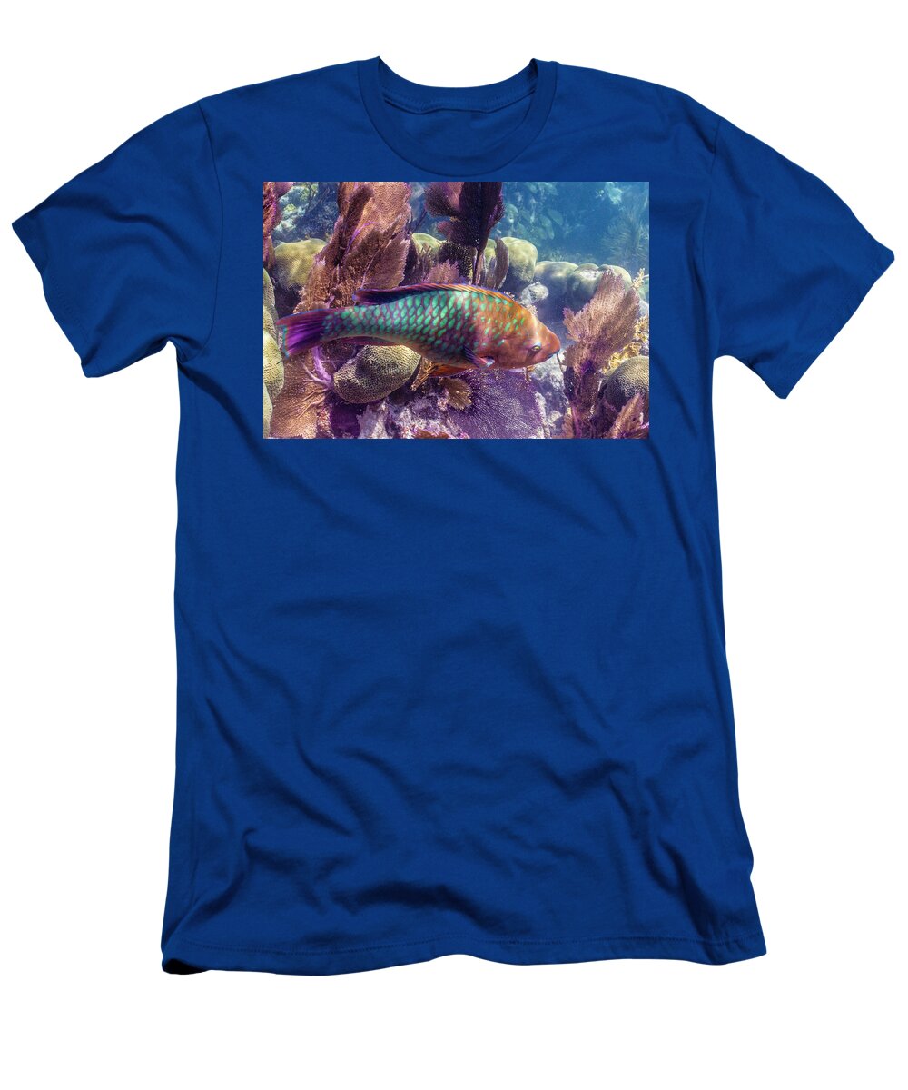 Animals T-Shirt featuring the photograph Rainbow Ridge by Lynne Browne