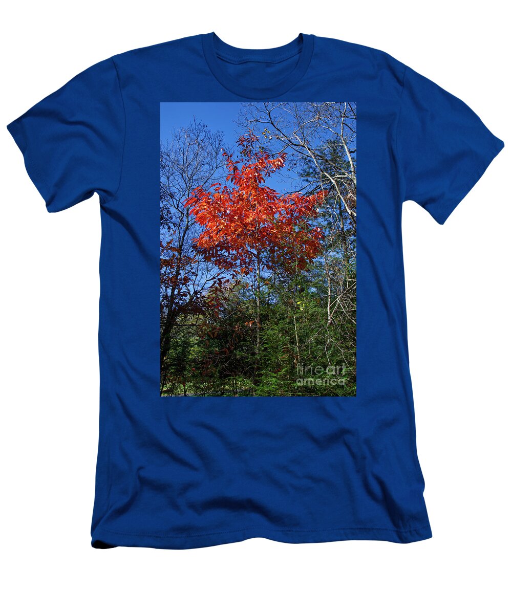 Autumn T-Shirt featuring the photograph Return to Autumn by Phil Perkins