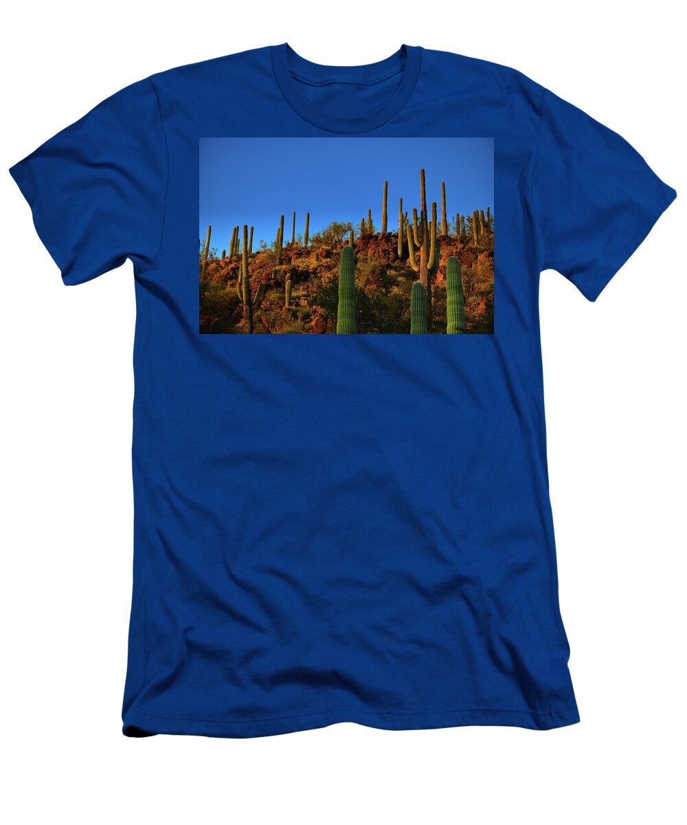 Saguaro T-Shirt featuring the photograph Saguaro Cacti Golden Hour by Chance Kafka