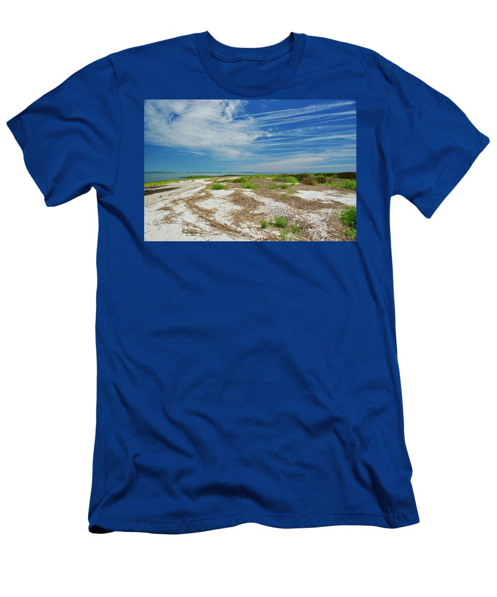 Oyster Shells T-Shirt featuring the photograph Seashells On A Beach by Dennis Schmidt
