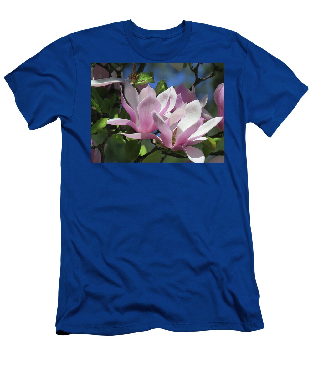 Floral Photography T-Shirt featuring the photograph Spring in Southern Oregon - Japanese Magnoia Blossoms - Floral Photographic Art by Brooks Garten Hauschild