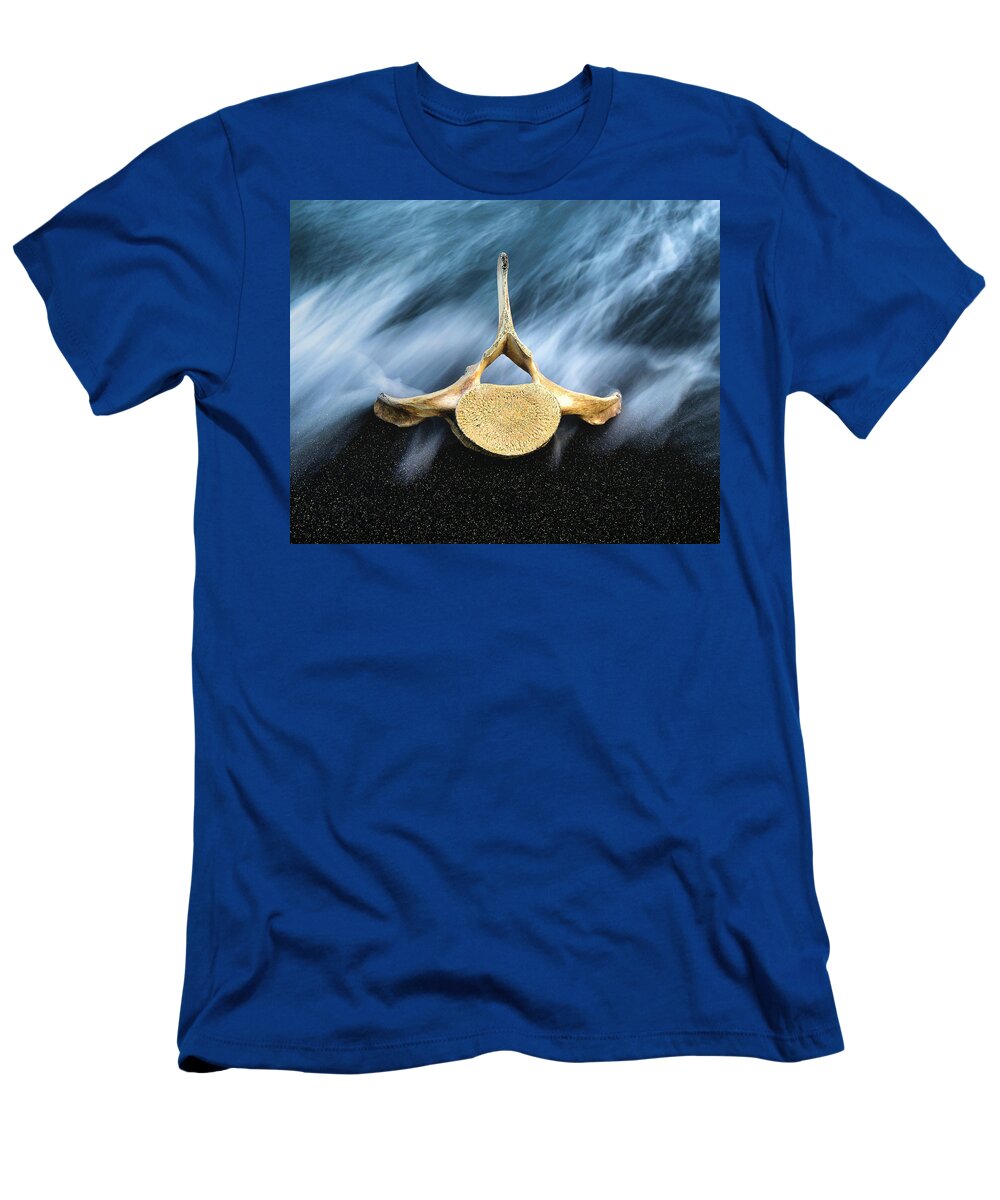 Atlantic Ocean T-Shirt featuring the photograph Still Life, Land and Sea by Dee Potter