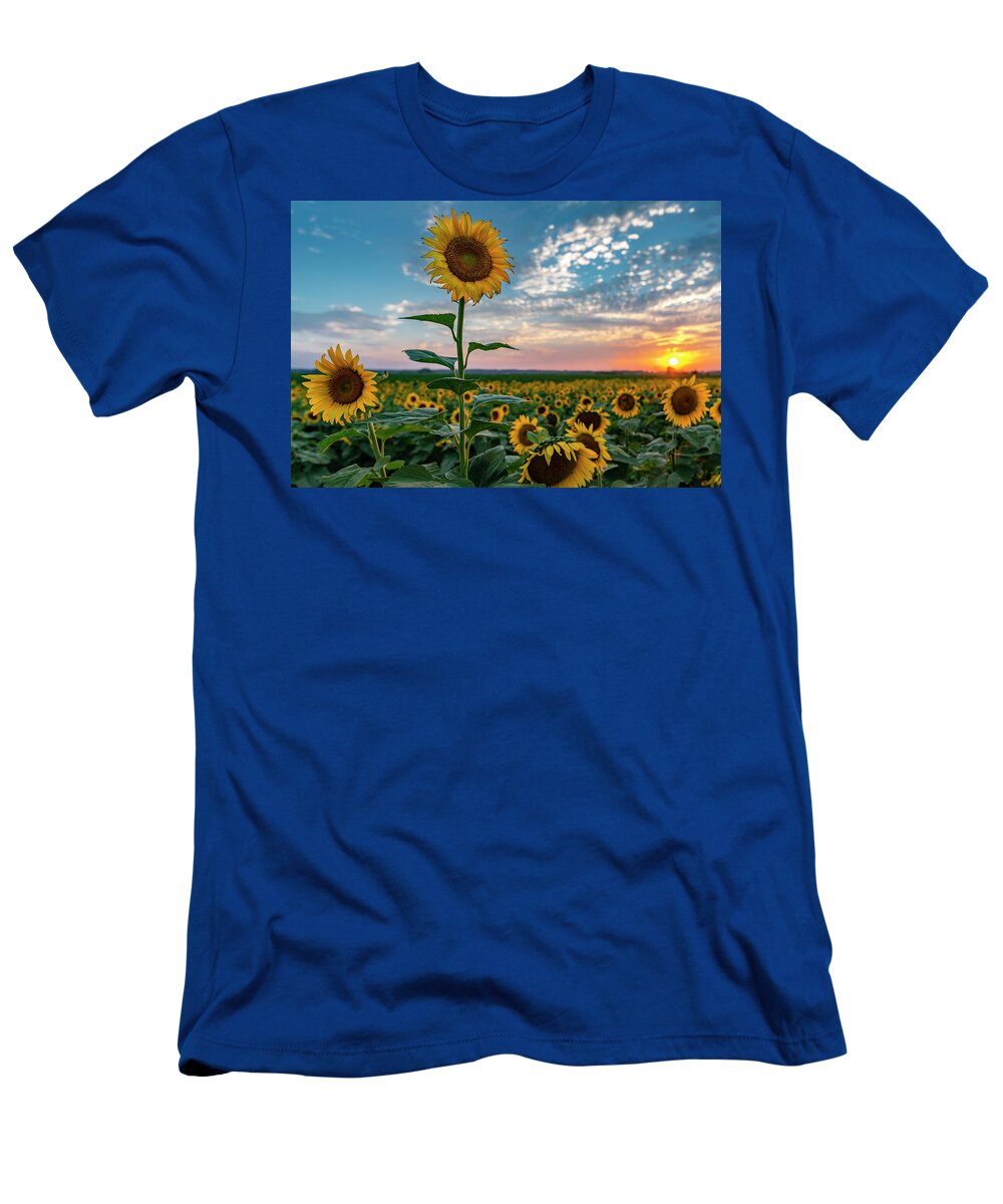 Landscape T-Shirt featuring the photograph Sunflowers at Sunset by Michael Smith