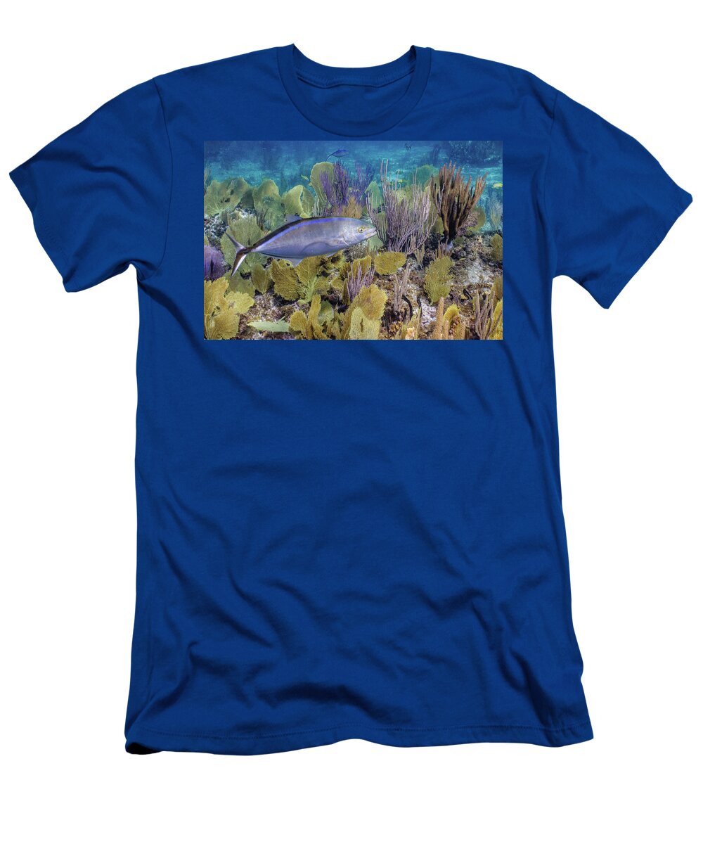 Animals T-Shirt featuring the photograph The Bar Crossing by Lynne Browne