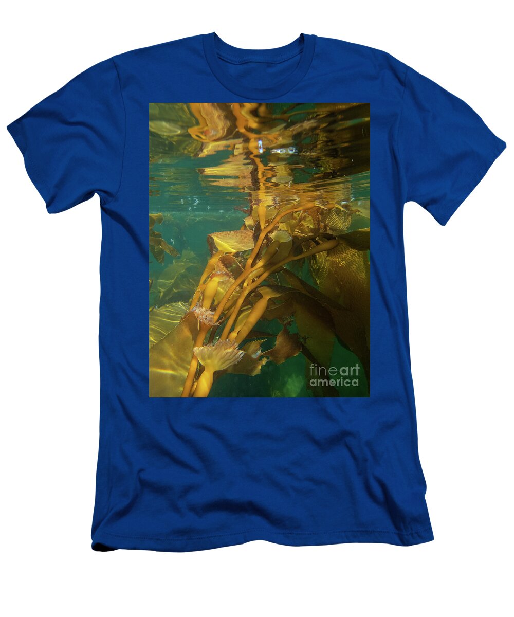 Alaska T-Shirt featuring the photograph Underwater in the Giant Kelp Forest by Nancy Gleason