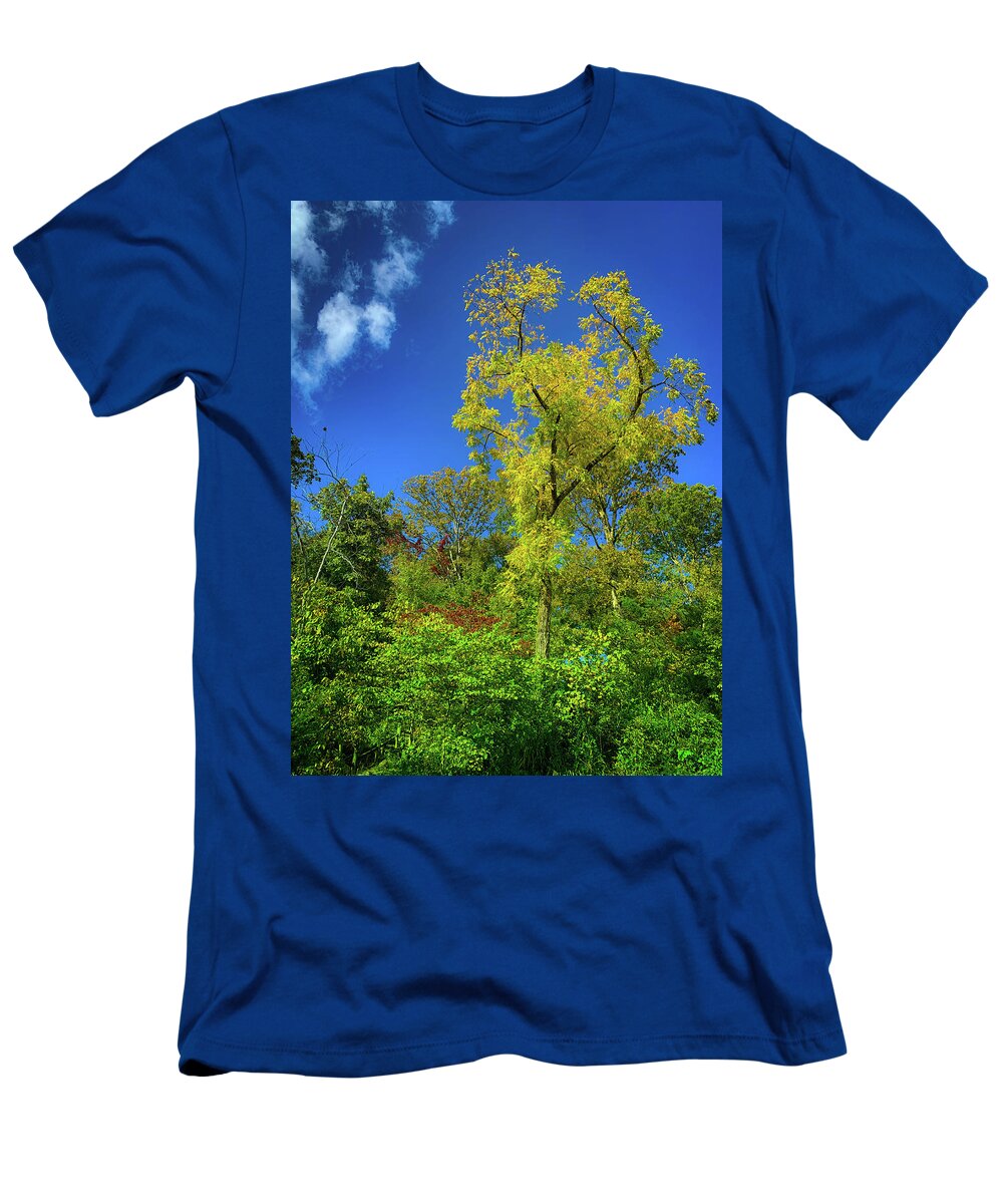 Fall Colors T-Shirt featuring the photograph Yellow Tree by Lora J Wilson