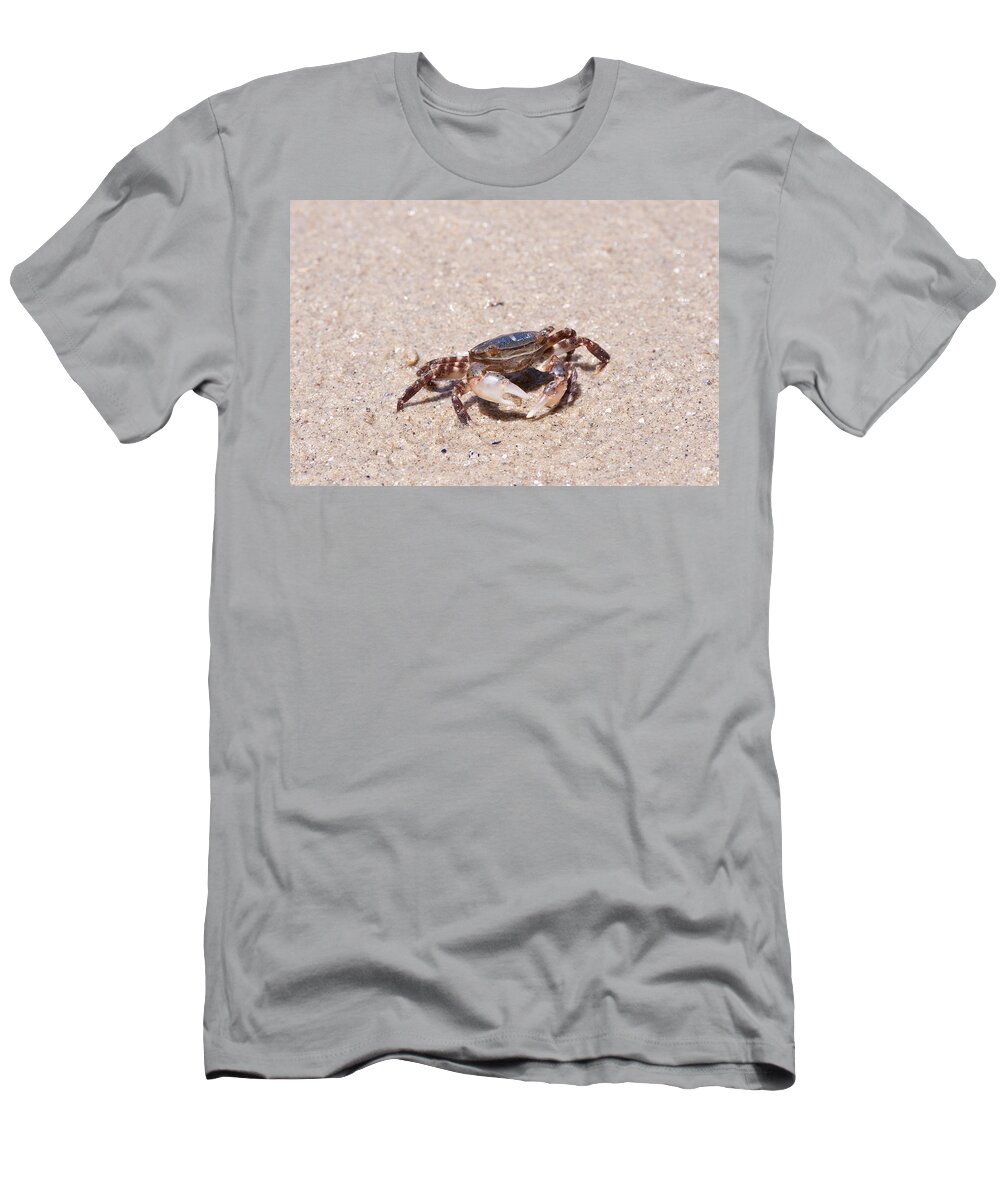 Asian Shore Crab T-Shirt featuring the photograph Asian Shore Crab #1 by Andrew J. Martinez