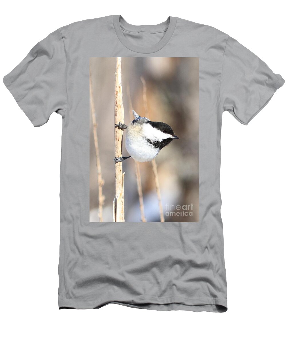 Chickadee T-Shirt featuring the photograph Black capped cutie by Heather King