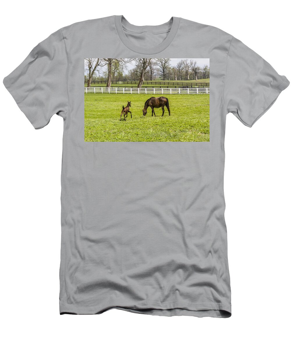 Animal T-Shirt featuring the photograph Colt #1 by Jack R Perry