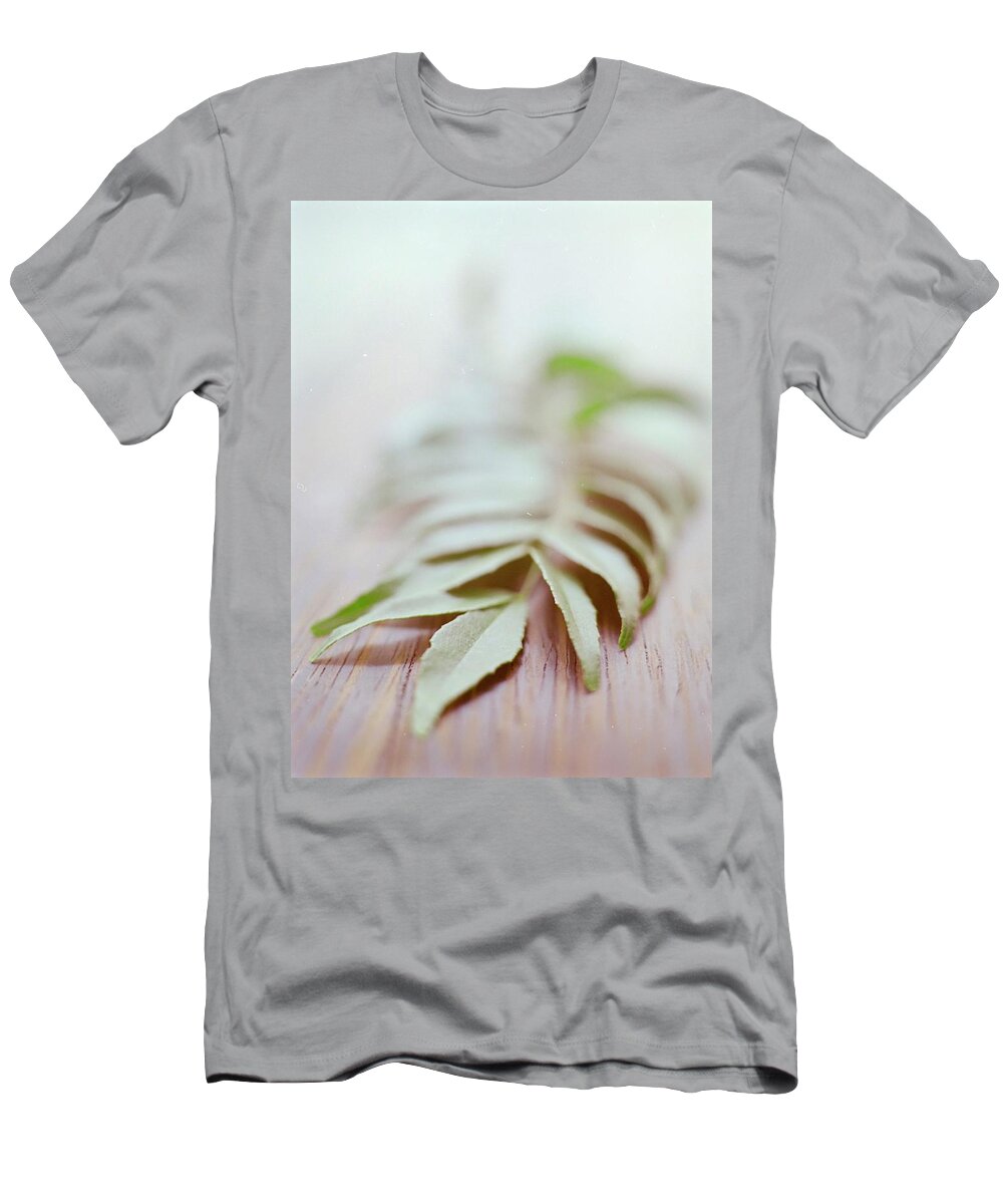 Cooking T-Shirt featuring the photograph Curry Leaves #1 by Romulo Yanes