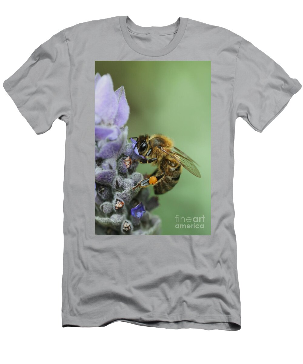 Flower T-Shirt featuring the photograph Happy Bee by Joy Watson