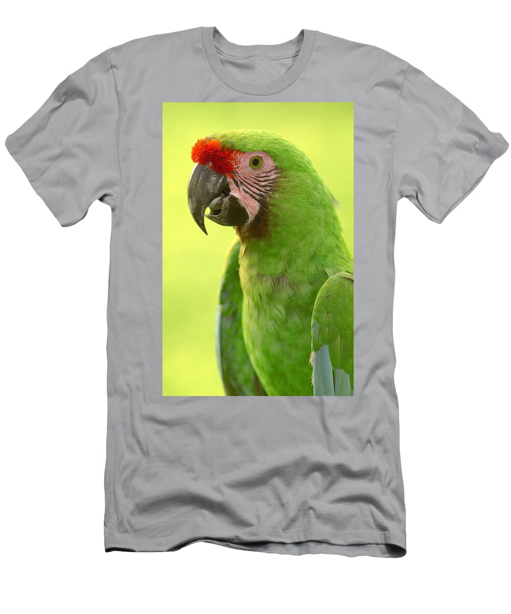 Feb0514 T-Shirt featuring the photograph Military Macaw Portrait Amazonian #1 by Pete Oxford