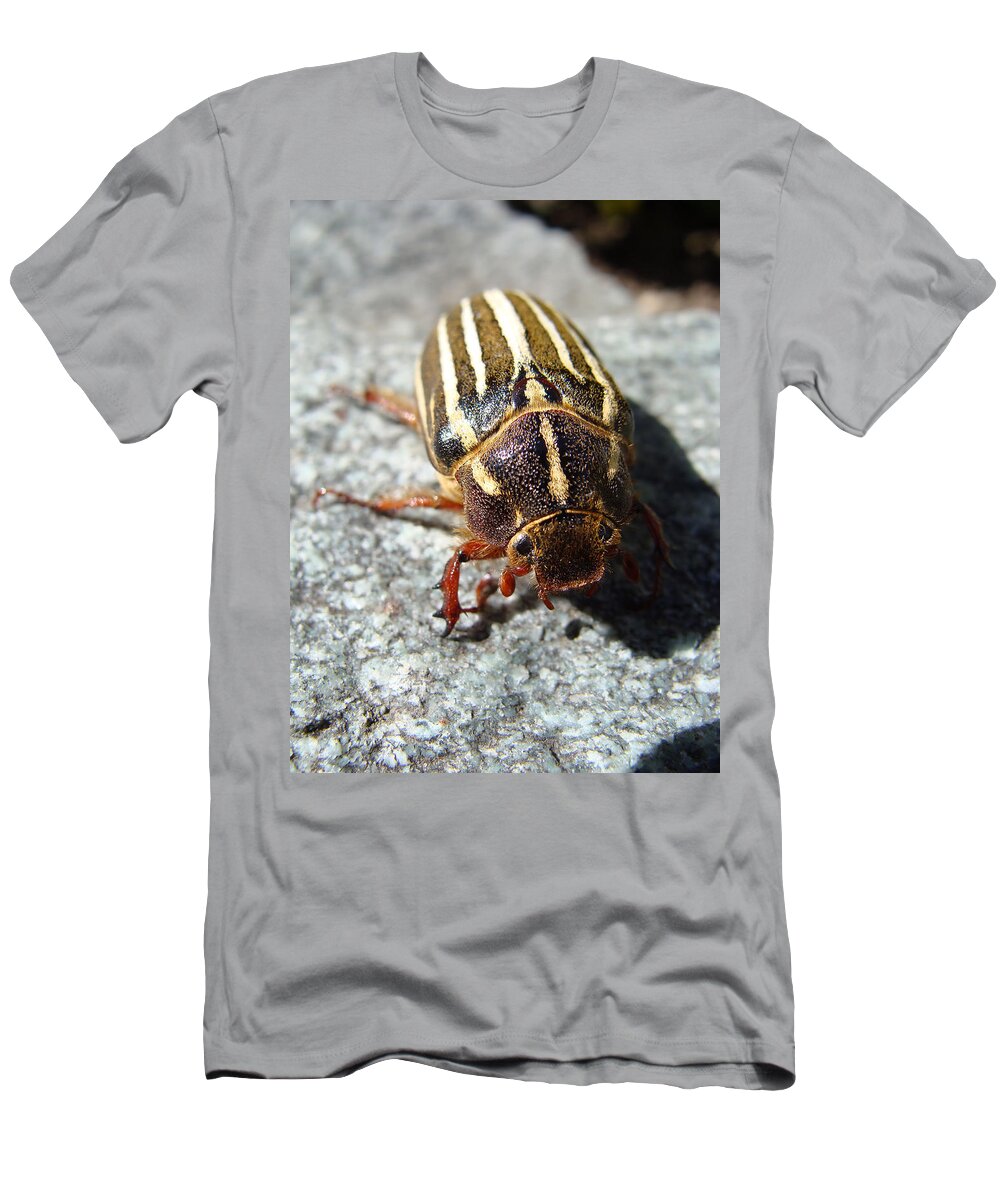 Ten Lined June Beetle T-Shirt featuring the photograph Ten Lined June Beetle #2 by Cheryl Hoyle