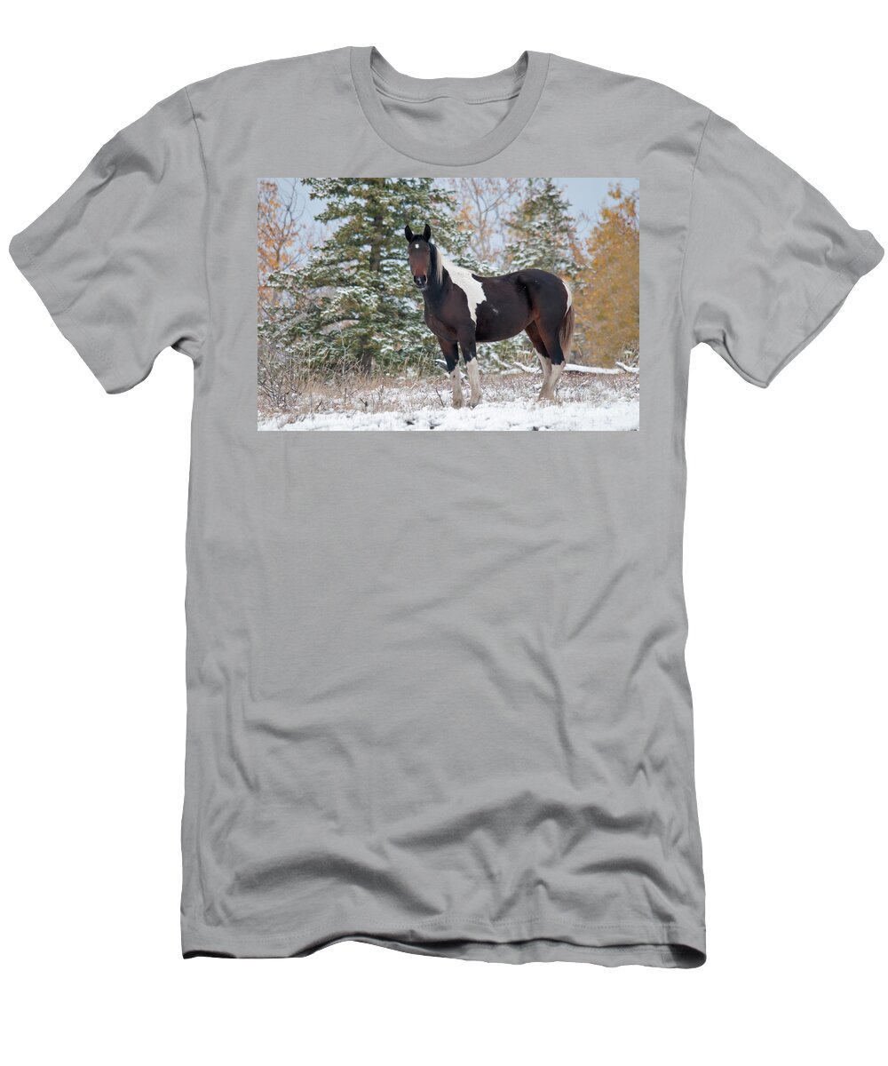 Nature T-Shirt featuring the photograph Horse In Snow, Yukon, Canada #10 by Mark Newman
