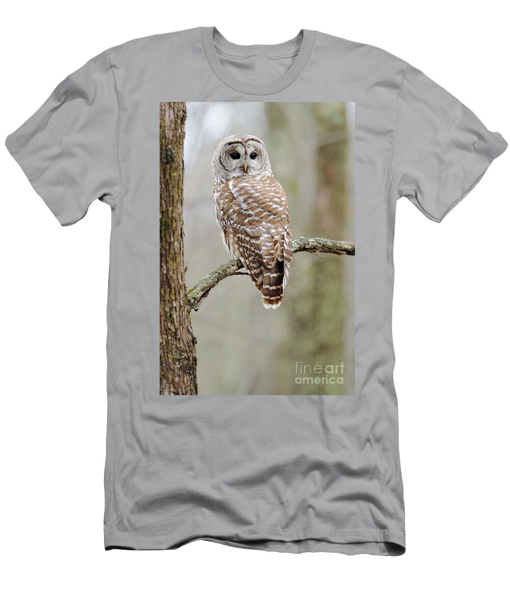 Barred Owl T-Shirt featuring the photograph Barred Owl by Scott Linstead