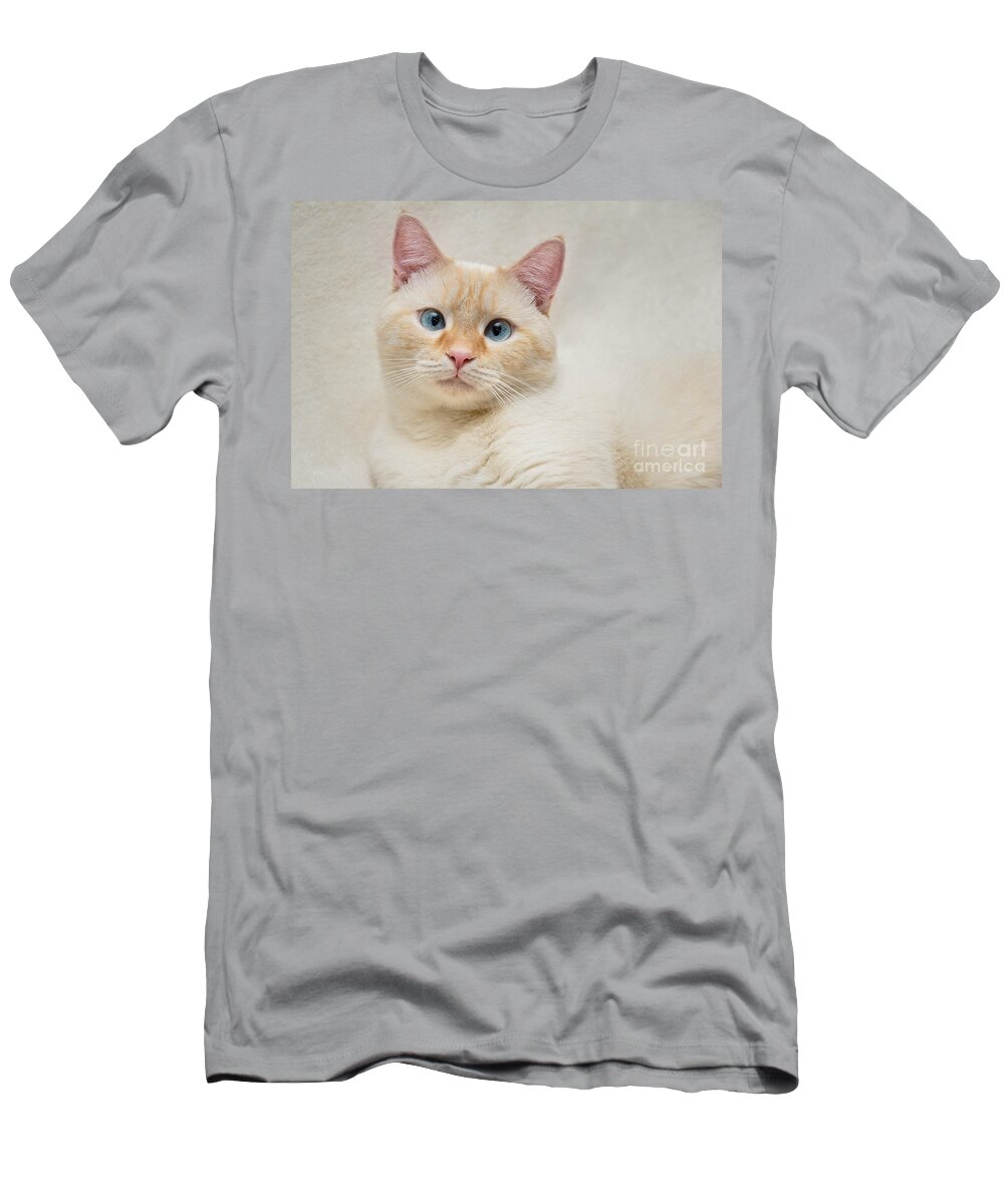 Blue Eyes T-Shirt featuring the photograph Flame Point Siamese Cat #13 by Amy Cicconi